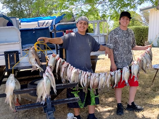 Southwest - Elephant Butte Lake - Toon and Millo