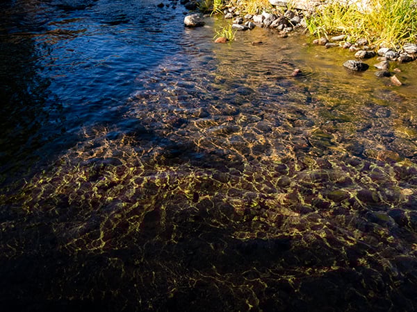 Southwest - Gila River