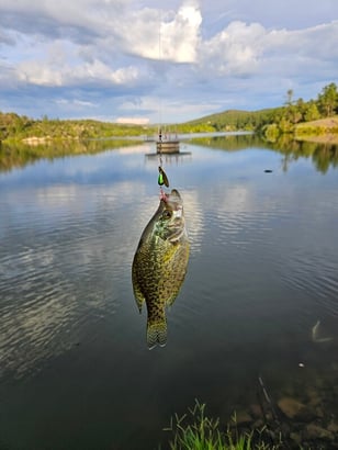 Southwest - Lake Roberts - Dylan Dockery crappie