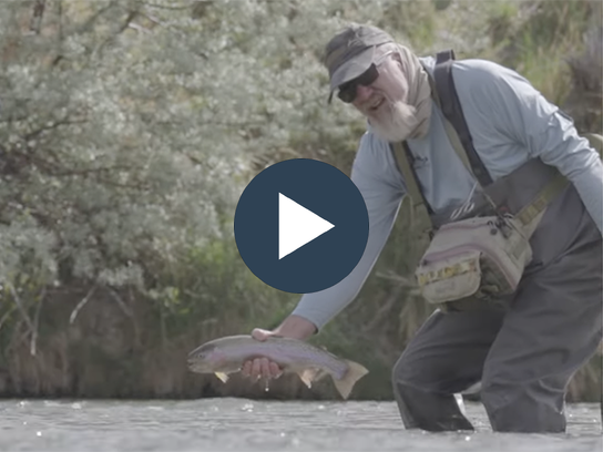 Tips Tricks and Stories-1