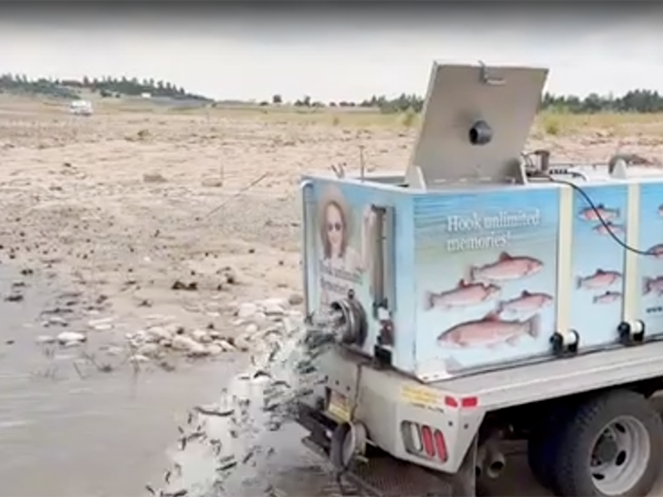 Tips Tricks and Stories-2