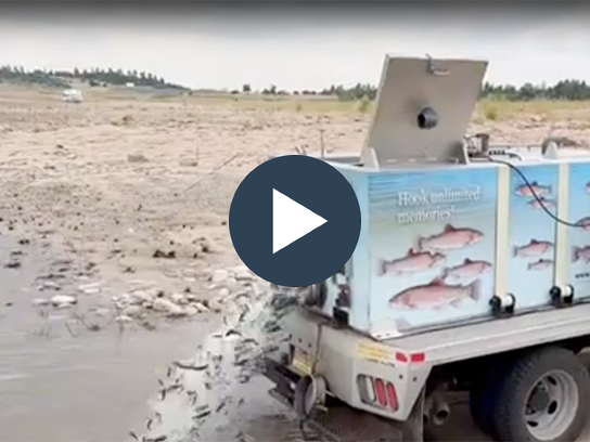 Tips Tricks and Stories-2