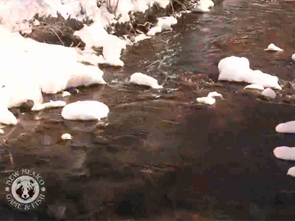 Tips Tricks and Stories-3