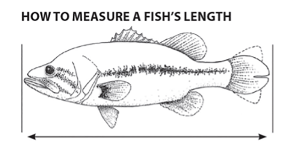 Tips Tricks and Stories-4