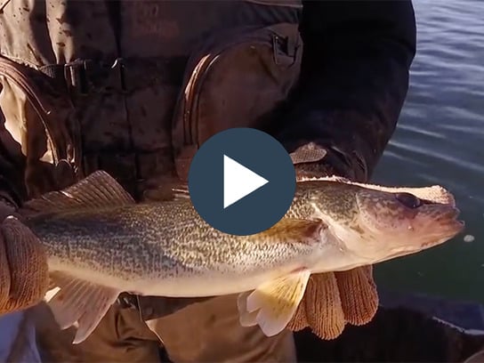 Tips Tricks and Stories-Nov-12-2025-10-32-36-9732-PM