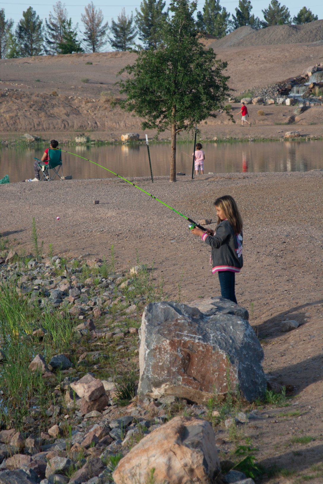 Trees Lake