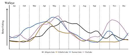 Walleye Graph