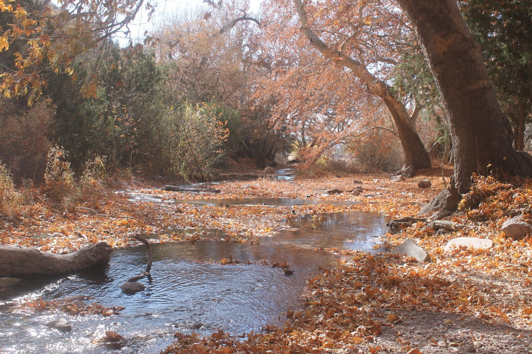 Whitewater Creek 1