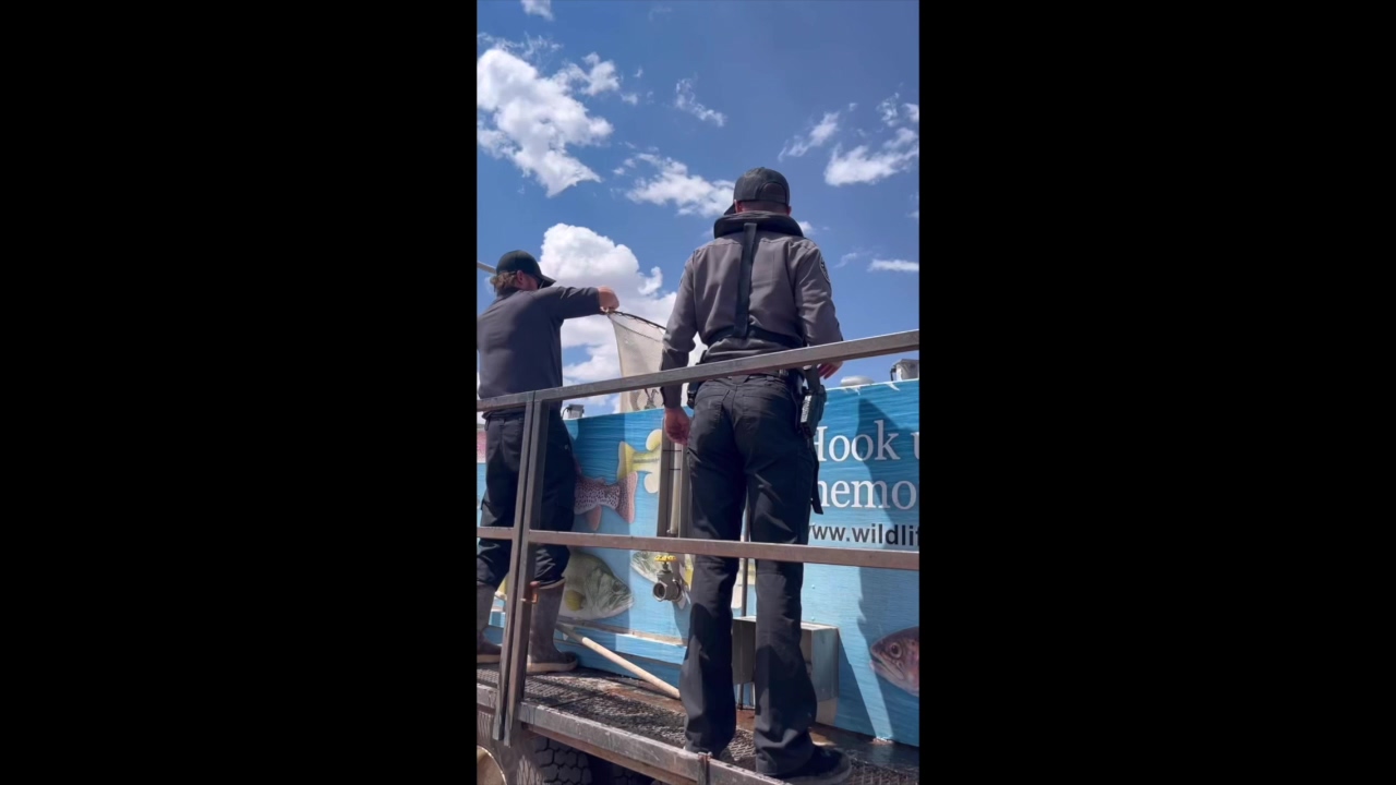 Elephant Butte Reel-1