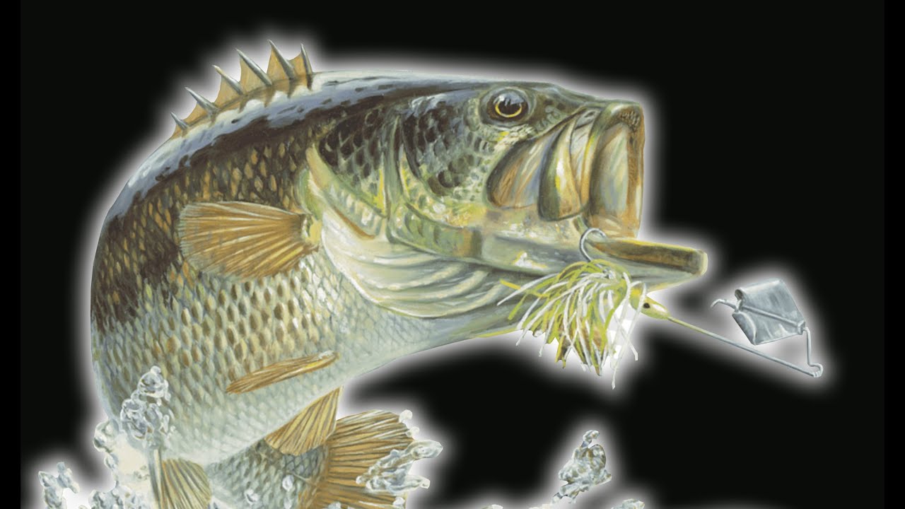 Introduction to Bass Fishing