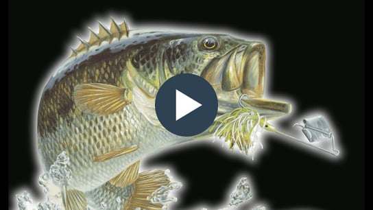 Introduction to Bass Fishing